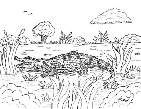 Robins Great Coloring Pages American Alligator And Sarcosuchus