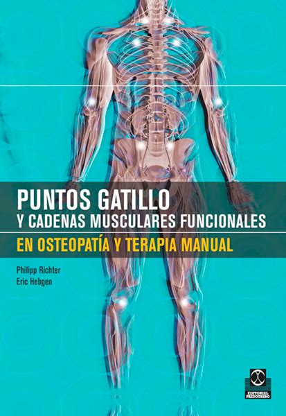 Puntos Gatillo Y Cadenas Musculares Funcionales En Osteopat A Y Terapia