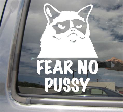 Fear No Pussy Cat Kitten Funny Humor Car Window Vinyl Decal Sticker