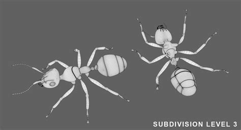 3d model ant 3d vr ar low poly rigged animated cgtrader