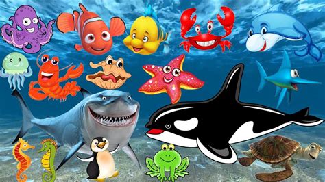 Lihat ide lainnya tentang animasi, gambar, wallpaper kartun lucu. Pelajari nama dan suara hewan laut | Animasi gambar binatang untuk anak-anak: lumba-lumba, hiu ...