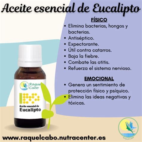 Usos Y Beneficios Del Aceite De Eucalipto En Aceite De