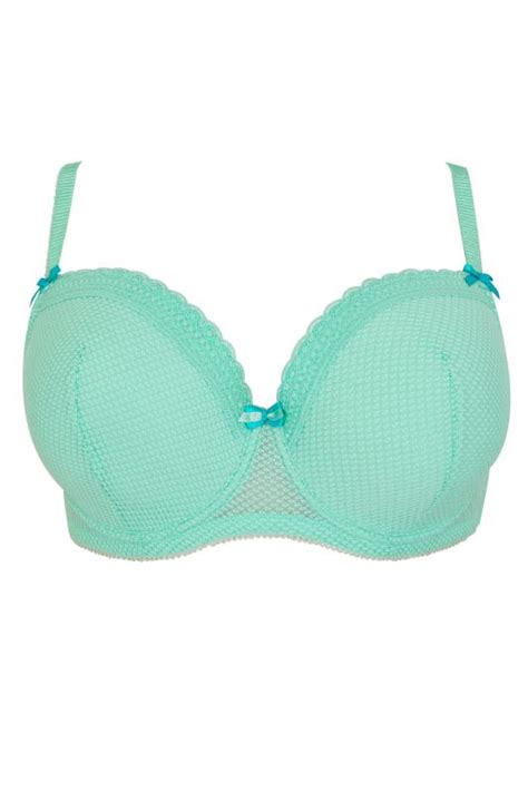 Mint Green Diamond Mesh And Lace Trim Underwired Bra Plus Size 38dd To
