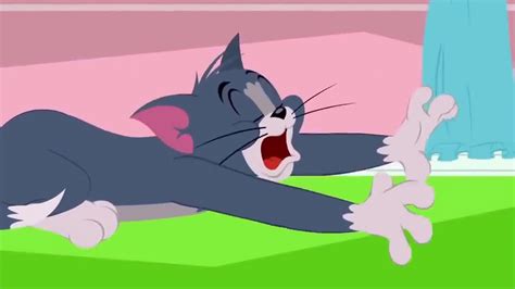 Tom Jerry Cartoon In Urdu Dailymotion Infologs