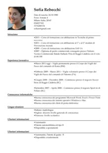 Redigir um cv é uma etapa essencial e incontornável na procura ativa de emprego. Baixar Um Extracto De Curriculo Vitei - Modelo De ...