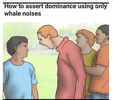 15 Funny And Weird Memes Made From Wikihow Illustrations
