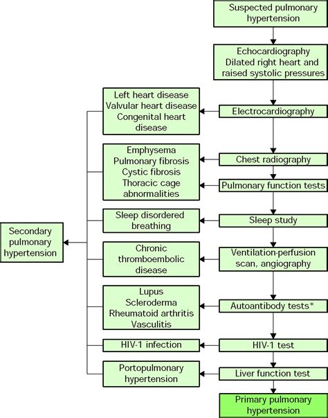 Primary Pulmonary Hypertension The Lancet