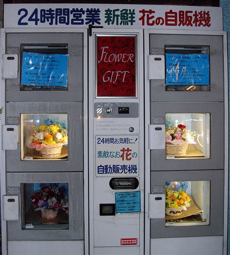 Oden vending machine by irrational cat in akihabara, tokyo.jpg 679 × 1,024; Top 10 Quirkiest Vending Machines in Japan