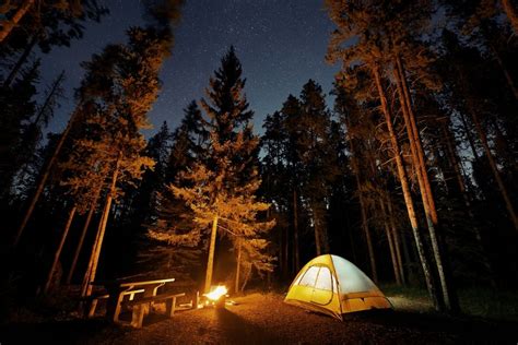 Is Camping Alone Fun Some Things You Should Know