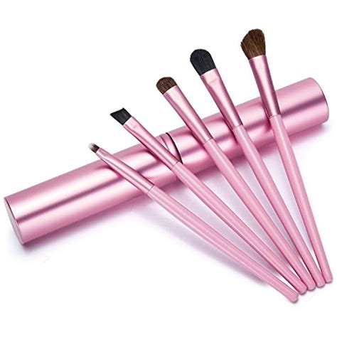 Aisxle 5 Piece Eye Makeup Brush Kit Beauty And Travel Set All In