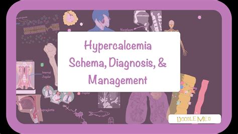 The Easiest Hypercalcemia Diagnostic And Management Algorithm I Ever