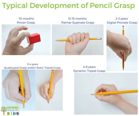 Typical Pencil Grasp Development For Kids Pencil Grasp Development