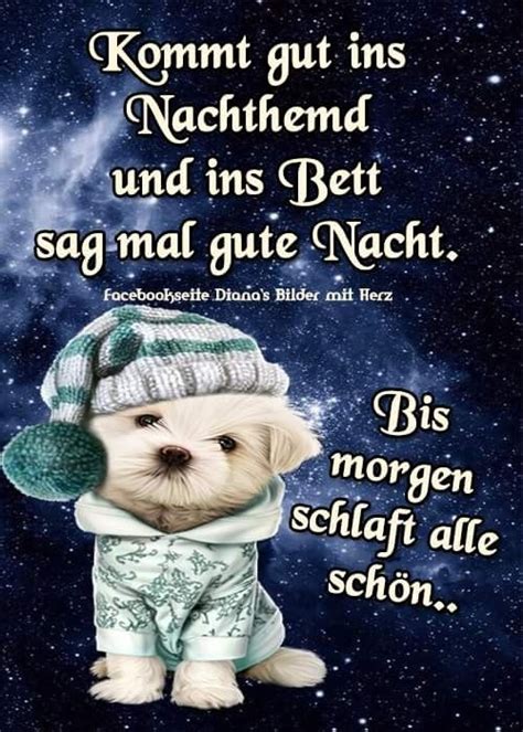 Du suchst animierte gifs zum thema gute nacht gifs?bei pandagif.com findest du gifs, bilder und animationen zu den themen. Pin von Birgit Crews auf GUTEN ABEND , GUTE NACHT | Gute ...