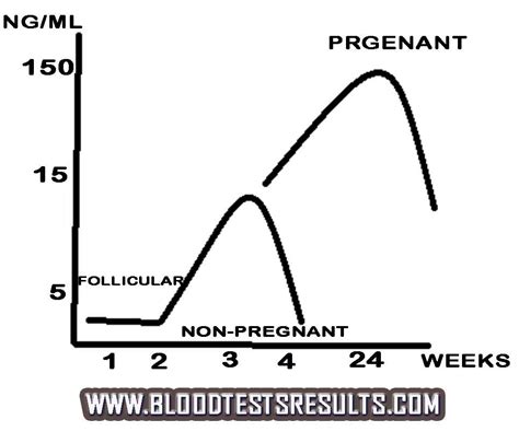 Progesterone Level Chart After Ovulation