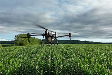 Introducing The Dji Agras T Drone Bel Agro Agriculture
