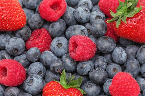 Fraise Myrtille Et Framboise Fond Photo Stock Image Du Juteux Lames 28694368