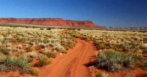 3 Best Ways to Explore the Outback | Travel Trivia