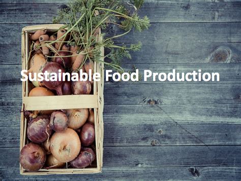 Food Management Sustainable Food Production Teaching Resources