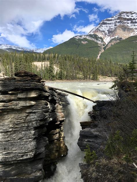 Jasper National Park In A Wheelchair Little Miss Turtle