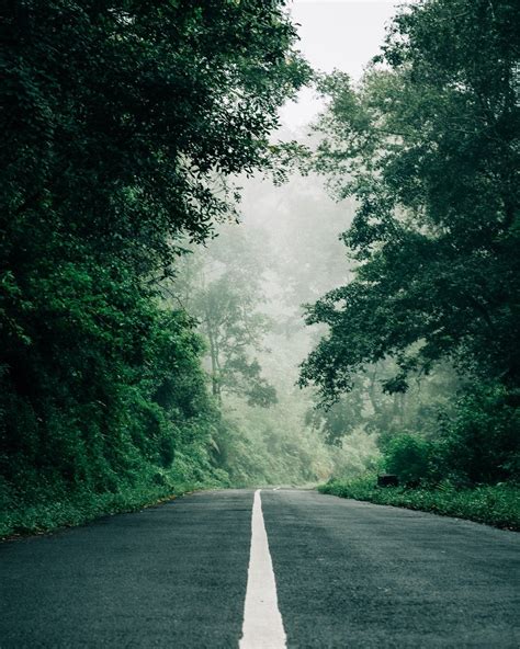 Nature Photography Blur Road 1080p Background Hd Img Abigail