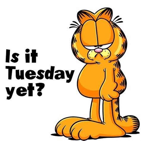 Is It Tuesday Yet Cartoon Quotes Garfield And Odie