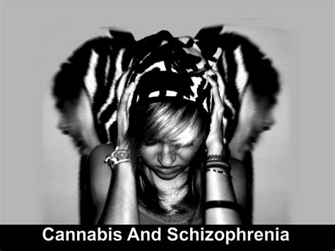 Cannabis As An Effective Treatment For Schizophrenia