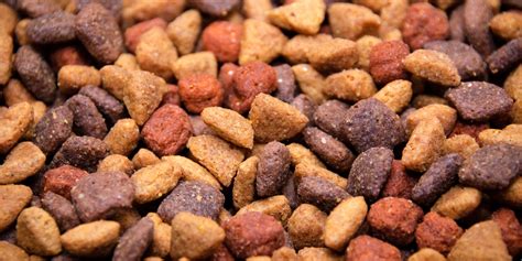 15 Best Dog Foods For Poodles W Feeding Requirement Charts