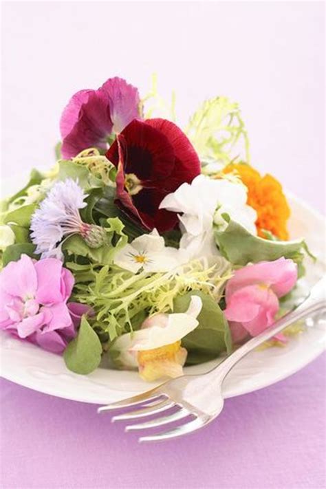 Edible flowers ottawa where to buy. 111 Herbs, Vegetables, Edible Flowers, & Fruit to Plant in ...