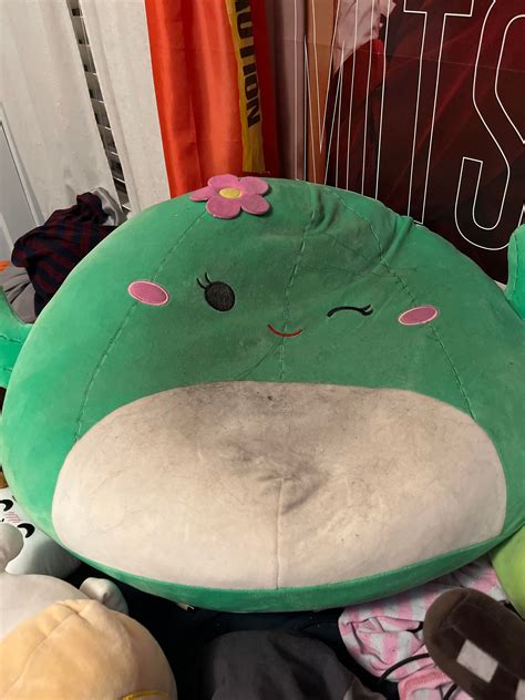 Got This Squishmallow For My Cat Since She Doesn’t Like Any Other Beds And Needless To Say She’s
