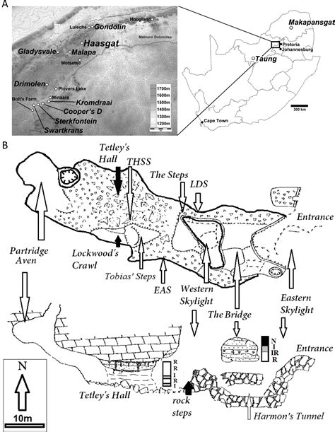 Map of africa white bone earrings: The first hominin from the early Pleistocene paleocave of Haasgat, South Africa PeerJ