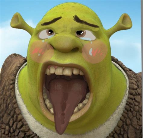 Subway Simulator~ Shrek Is Ecoshrexual In 2021 Shrek Funny Anime
