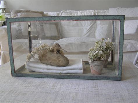 Explore more like old fish tank ideas. Old Fish Tank as Glass Display Whitewashed Cottage chippy ...