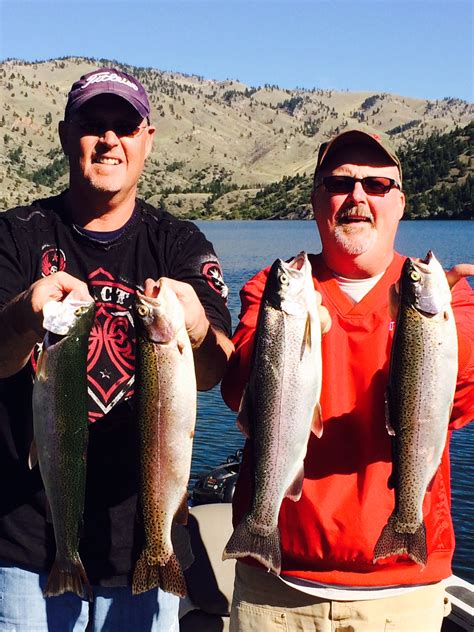 Hammering Holter Trout Montana Hunting And Fishing Information