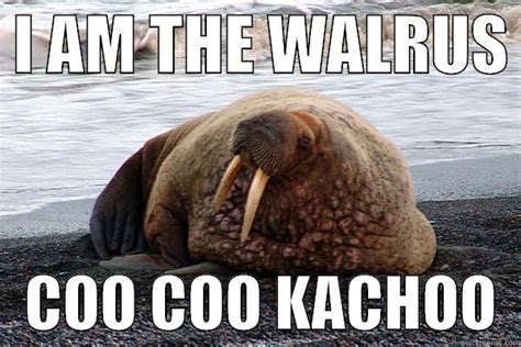 I Am The Walrus Quickmeme