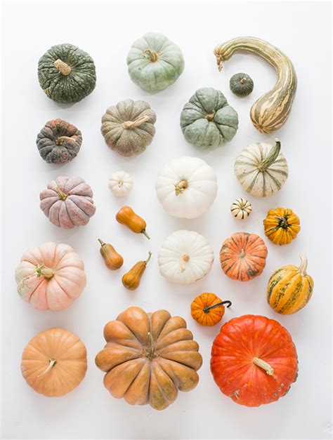 Heirloom Pumpkin Varieties For Fall Party Entertaining Ideas 100