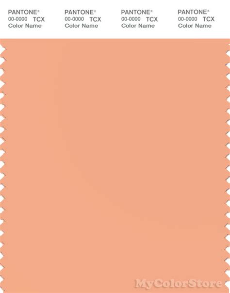 Pantone Smart 14 1227 Tcx Color Swatch Card Pantone Peach