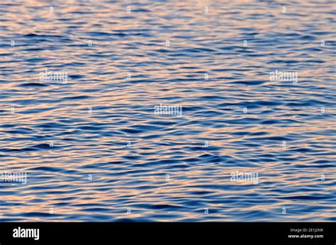 Top View Of Sunset Shine Sea Water Texture Pink Ripple Water Surface