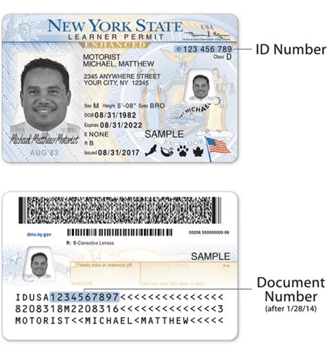 Fake Drivers License Buy Drivers License Online