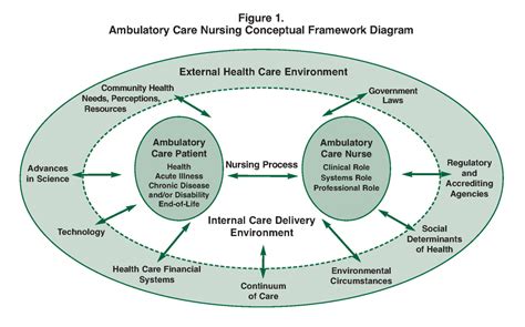 Conceptual Framework American Academy Of Ambulatory Care Nursing