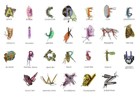 Items Similar To Insect Alphabet Poster Digial Print On Etsy