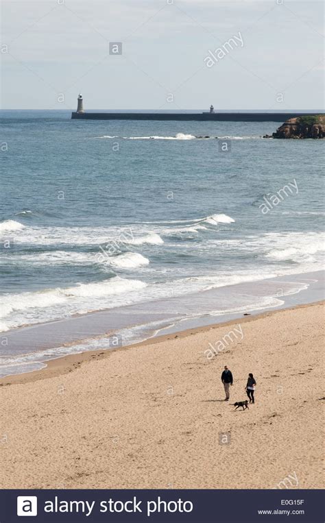 Couple Walking Dog Longsands Beach Tynemouth North East England Uk