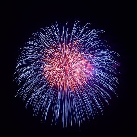Beautiful Fireworks On The Black Sky Stock Image Colourbox