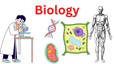 What Is Biology Definition Concepts Research Method