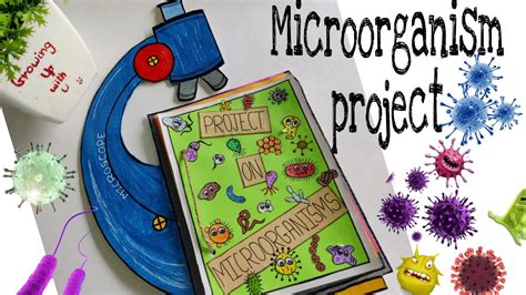 Project On Microorganisms L Grade 8 Youtube