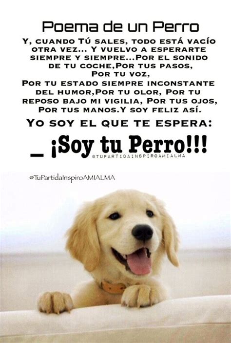 Poema De Un Perro Yo Soy El Que Te Espera Tu Coche Tiene Un Sonido