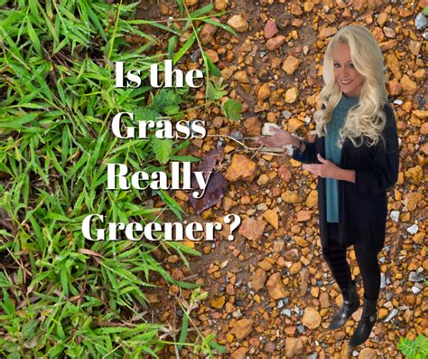 Grass Is Greener Syndrome Gigs