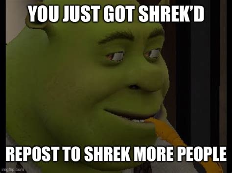 Shrekd Imgflip