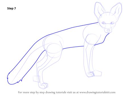 How To Draw A Kit Fox Wild Animals Step By Step