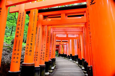 On the left side of each saffron coloured torii is the name of the company that donated it while the date is mentioned on the right side. Fushimi Inari Shrine | Japans
