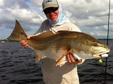 North Florida Fishing Report Inshore And Backwater Fishing Best Time